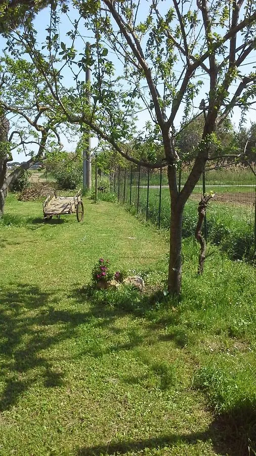 Penzion B&B Il Limone Bocca di Magra Itálie