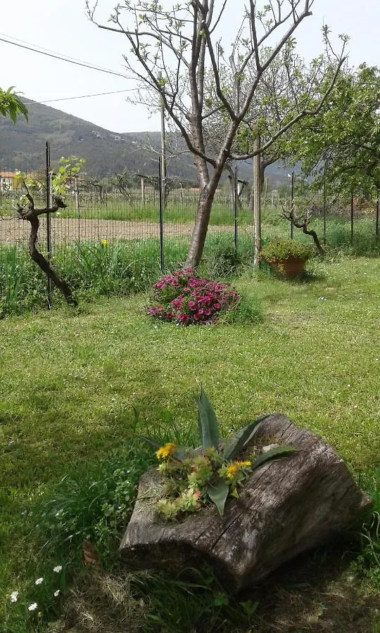 B&B Il Limone Bocca di Magra Italia