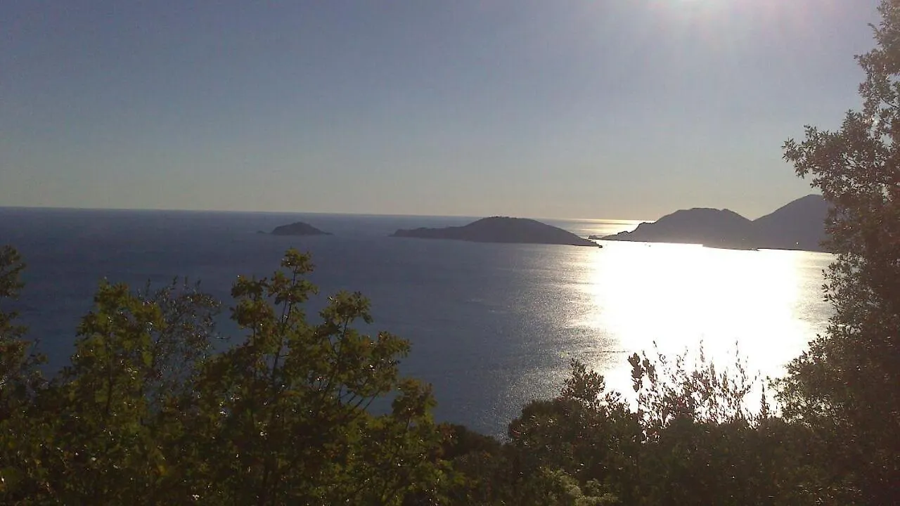 Guest house B&B Il Limone Bocca di Magra Italy